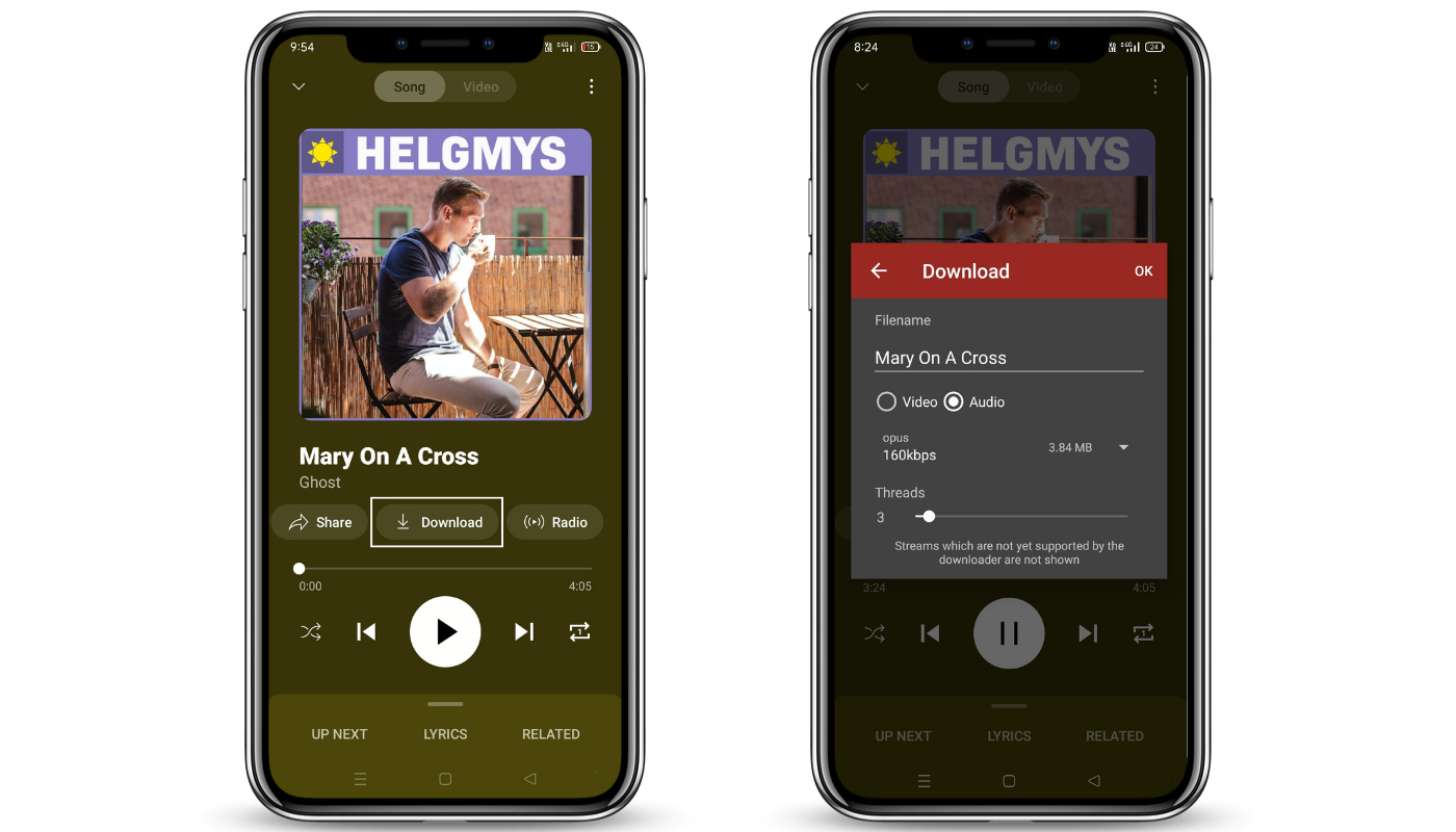 Download Any Song Using NewPipe